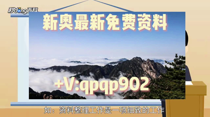 2024年新奥免费资料大全;-全面释义、解释与落实