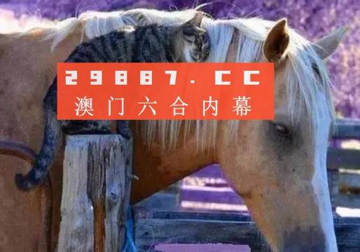 澳门必中一肖一码四不像;-全面释义解释落实